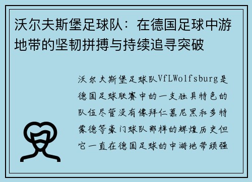 沃尔夫斯堡足球队：在德国足球中游地带的坚韧拼搏与持续追寻突破