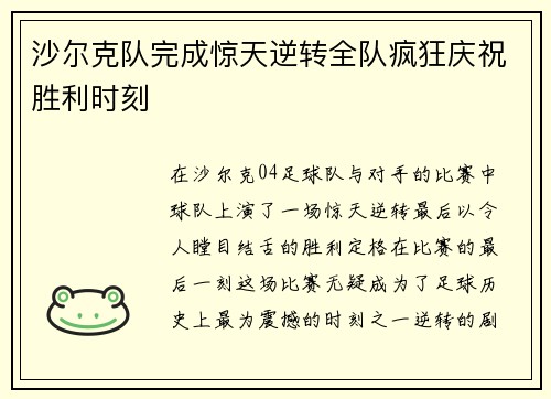沙尔克队完成惊天逆转全队疯狂庆祝胜利时刻
